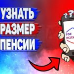 Как узнать свою пенсию через интернет – подробная инструкция