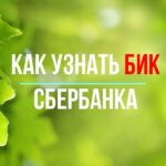 Местоположение бик банка на карте – где его найти?