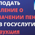 Как оформить досрочную пенсию через госуслуги